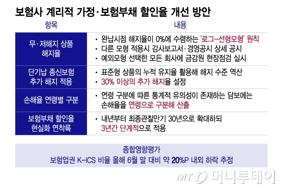 보험사 계리적 가정·보험부채 할인율 개선 방안/그래픽=이지혜