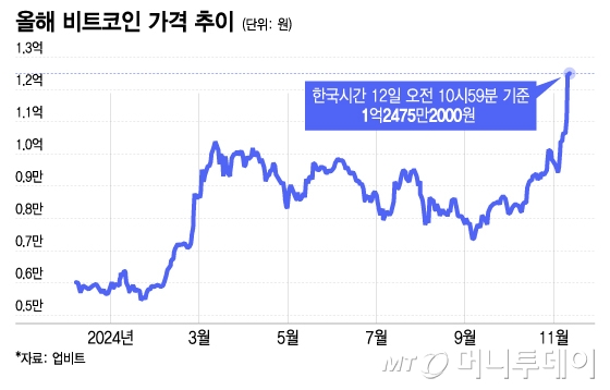 올해 비트코인 가격 추이. /그래픽=이지혜 디자인기자