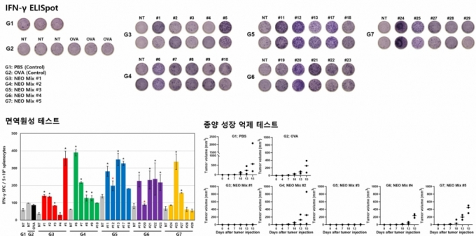  콺   鿪  缺 ׽Ʈ /=CGι