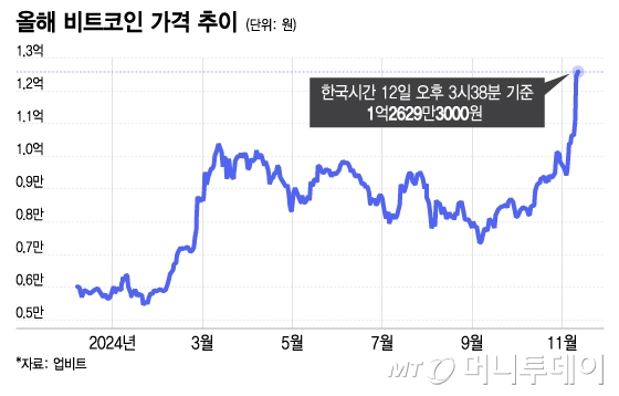 올해 비트코인 가격 추이. /그래픽=이지혜 디자인기자