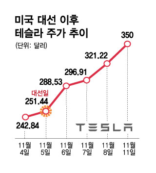 미국 대선 이후 테슬라 주가 추이. /그래픽=김현정 기자.