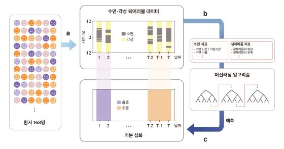 수면-각성 데이터만을 이용한 기분 삽화 예측 모델 개발/사진=IBS