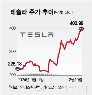 테슬라 주가 추이/그래픽=김현정