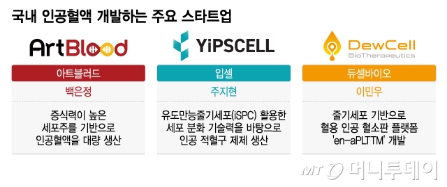 국내 인공혈액 개발하는 주요 스타트업/그래픽=이지혜