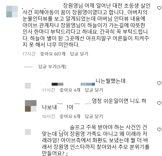 /사진=아이브 장원영 인스타그램 댓글 갈무리