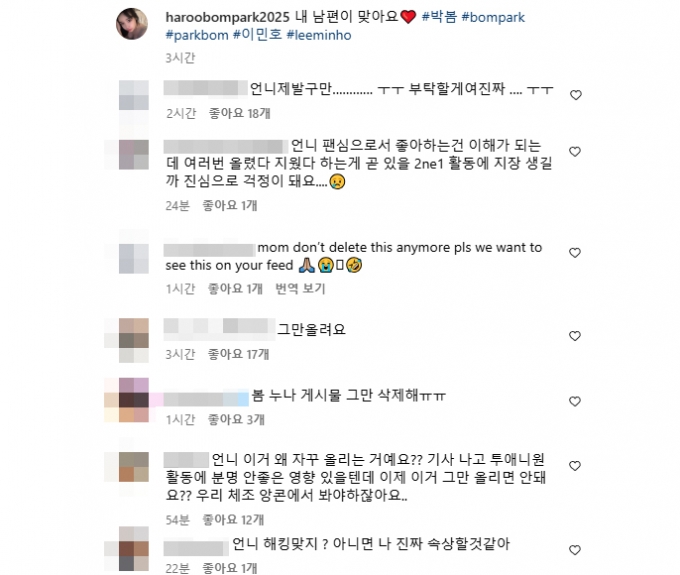 /사진=박봄 SNS 부계정 댓글 갈무리