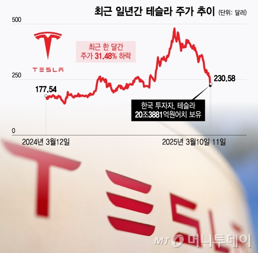테슬라 주가 동향 그래프
