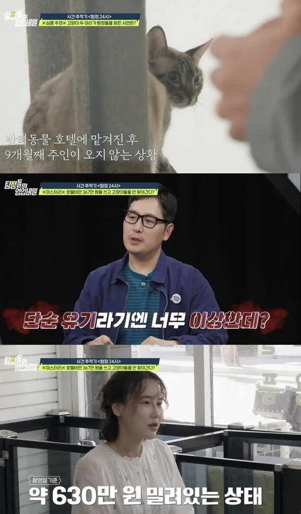 미스터리한 반려묘 호텔 유기 사건이 공개된다. /사진=채널A &#039;탐정들의 영업비밀&#039;