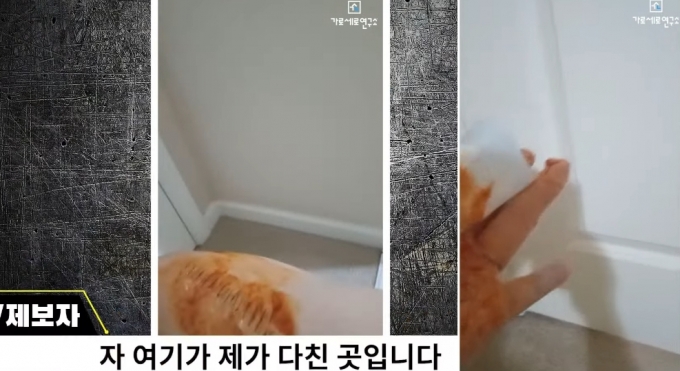 배우 고(故) 김새론 측 녹취 제보자가 미국에서 피습을 당했다고 주장하며 공개한 사진에 대해 배우 김수현 측이 허위라는 입장을 내놓자 제보자가 영상으로 자신이 피습당한 상처를 공개한다고 밝혔다. /사진=유튜브 채널 가로세로연구소 영상 갈무리