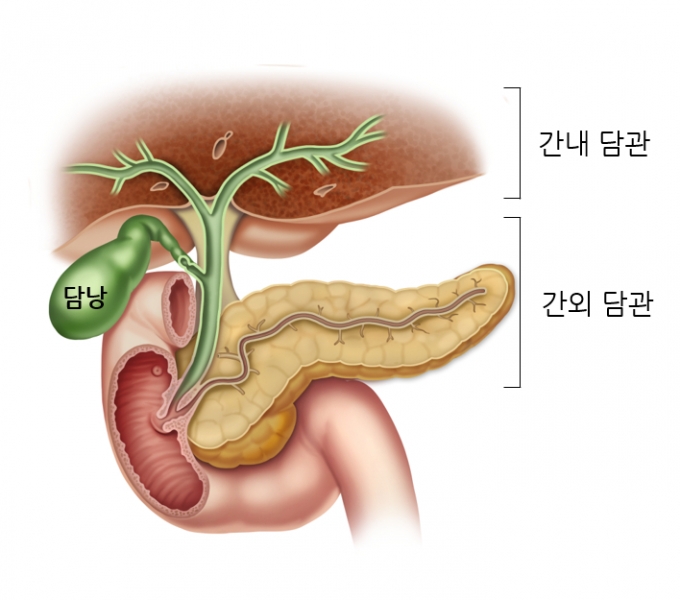  ,   ġ. /ڷ=ƻ꺴