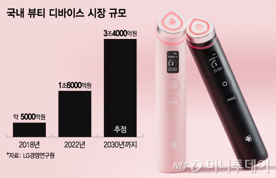 국내 뷰티 디바이스 시장 규모/그래픽=이지혜