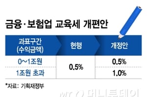 2025 세제개편안