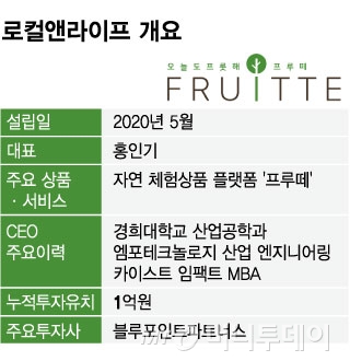 로컬앤라이프 개요/그래픽=임종철