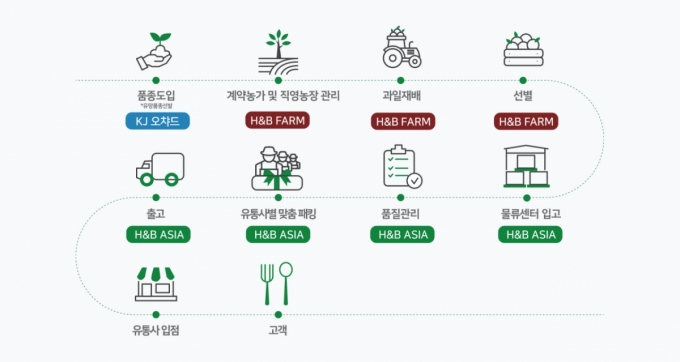 H&amp;B아시아의 국내 사업 모델 /사진=H&amp;B아시아 제공