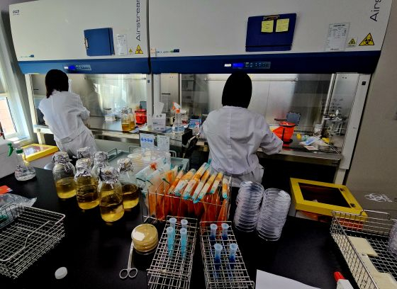 품질안전센터 연구원들이 식품 안전성을 테스트하고 있다/사진=류준영 기자 