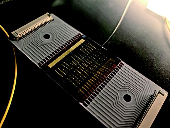 광자 기반 양자 프로세서 소자/사진=KIST