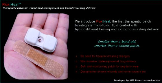 경피 약물 전달 기반 스마트 상처치료 패치/사진=KIST 