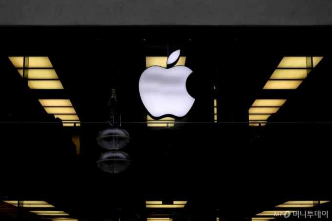 애플 /사진=유세진