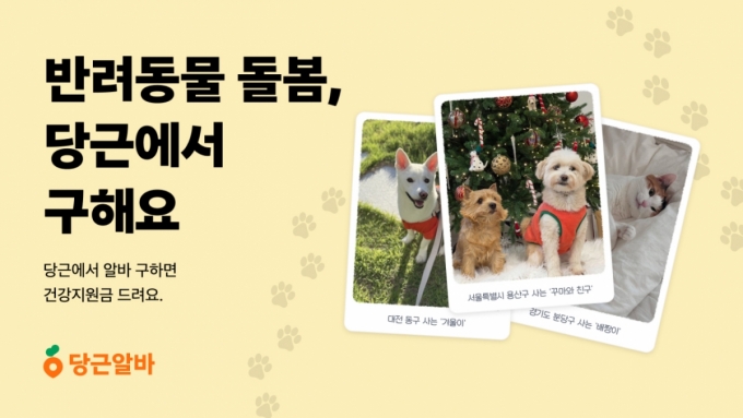 /사진제공=당근