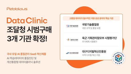 페블러스 '데이터 클리닉' 솔루션이 조달청 혁신제품 시범구매 사업을 통해 3개 기관과 매칭을 확정했다./사진=페블러스 
