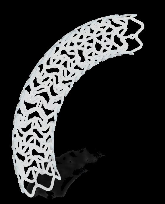 생분해성 스텐트/사진=도터