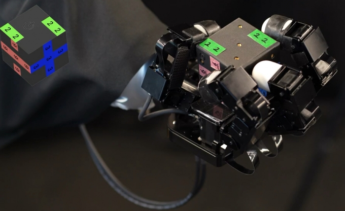 /사진=카본식스 제공