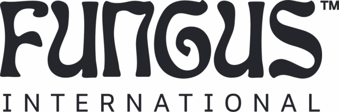 /사진제공=지디벤처스