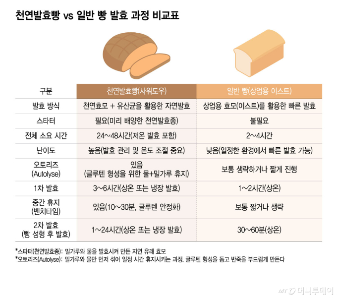천연발효빵 vs 일반 빵 발효 과정 비교표/그래픽=윤선정