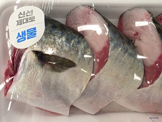 /사진=메가플랜 제공