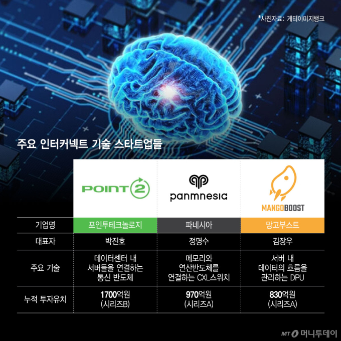 주요 인터커넥트 기술 스타트업들/그래픽=윤선정