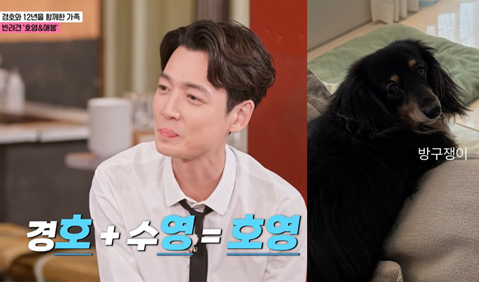 정경호, 최수영과 결별 인정한 날…이름 딴 반려견과 근황 '눈길'