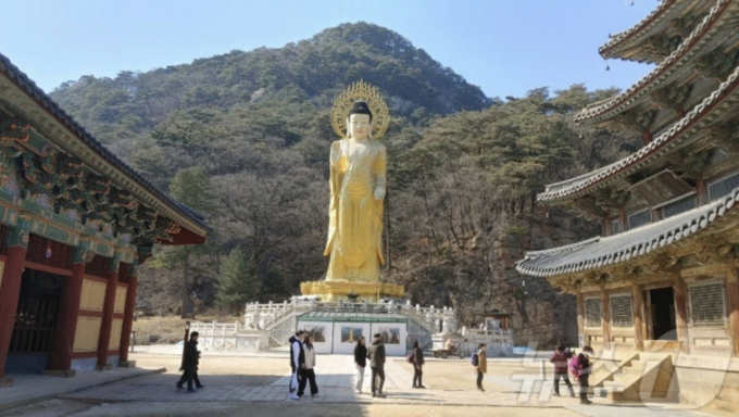 마카오 원정 도박 47회…법주사 전 주지, 집행유예 2년