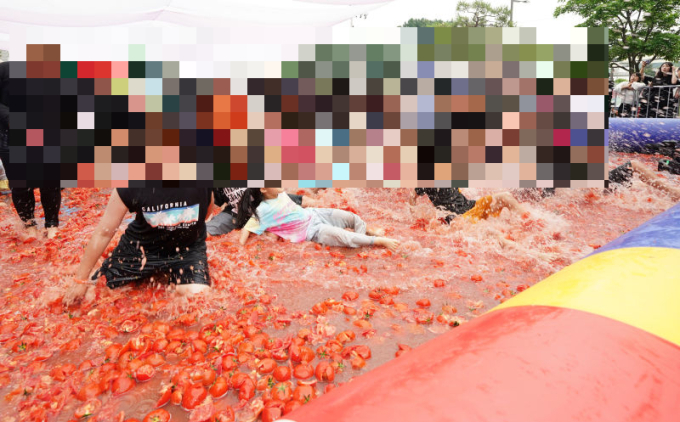 "스페인 뺨치는 토마토 축제"…워터파크로 변신, 광주시 퇴촌 가볼까
