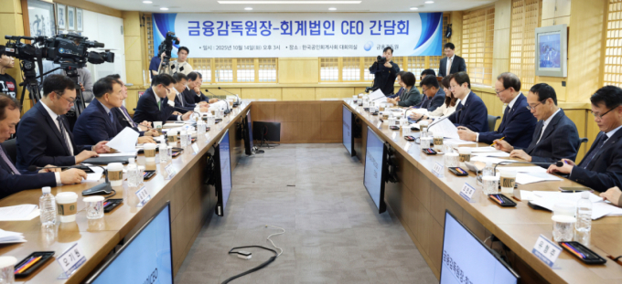 금감원, 회계법인 감사들 불러 "수임 경쟁보다 품질 우선"