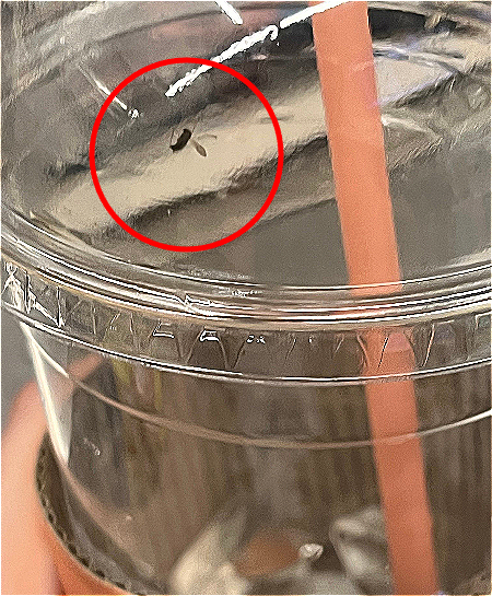 "커피 뚜껑에 날파리, 환불해달라"…1시간 뒤 찾아온 손님