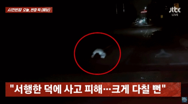 "귀신인 줄" 만취 여성, 새벽 도로 한가운데 털썩…무사 구조