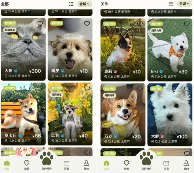 "반려동물 빌리는데 2300원" 이런 사업까지…"보호소 봉사나 해" 中 시끌