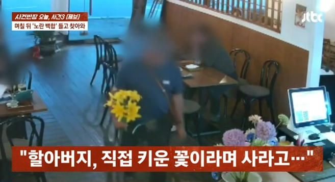 카페서 수국 훔친 노인, 며칠 후 꺾은 꽃 들고 와 "돈 내고 사라"