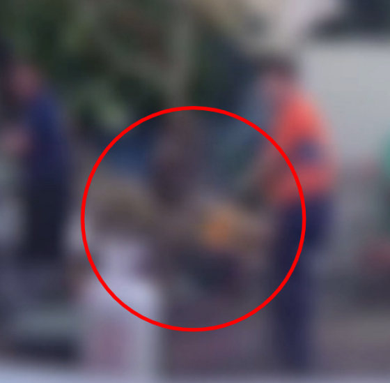 "개 목매달아 산 채로 불태워"…몸부림치다 숨진 '다온이'