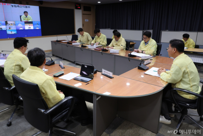 구제역 양성→음성→양성…경북 예천 돼지농장, 검사서 최종 확진