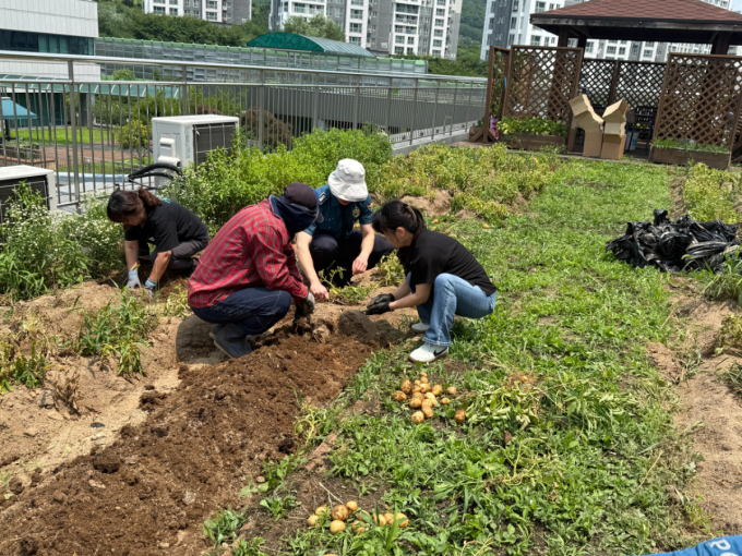 중랑경찰서 직원들이 키운 감자 90㎏, 지역 어르신에 기부