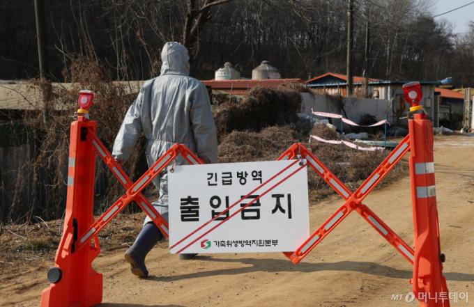 아프리카돼지열병 방역 전면 강화 …사료·불법축산물·멧돼지 집중 관리