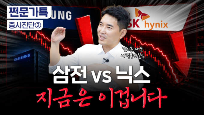 삼전? 닉스? 둘 중에 하나만 산다면..."지금은 '이것'" 전문가 답은[부꾸미]