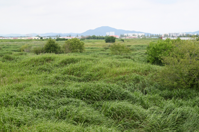 "반도체 산단 배후, 선수 쳐서 산다"… 투기수요 미리 차단