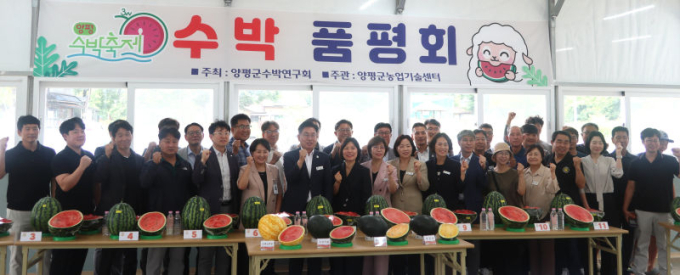 "수박계 우량주 등장" 경기도 최대 산지 양평군 '조생흑미' 신품종 1위