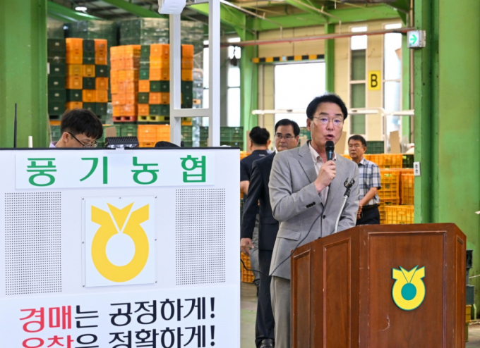영주시, 여름사과 '썸머킹'·'썸머프린스' 본격 출하