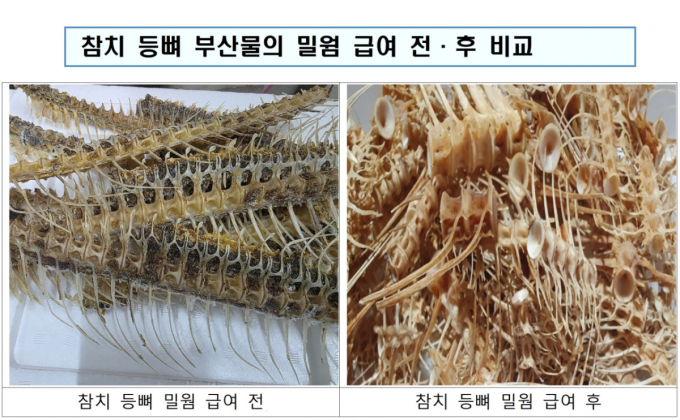 KIOST, 수산업계 골칫거리 참치 부산물→ 고부가 자원으로 재탄생