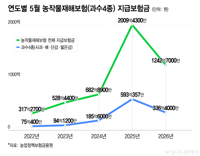농협손보 대표가 직접 나무에 매달린 사과 세는 이유