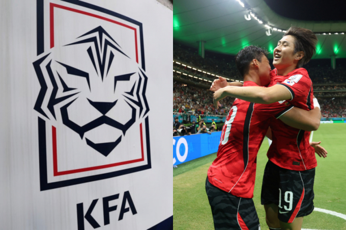 축구협회, 월드컵 참관 4억5000만원 썼는데…체코전은 '패싱'