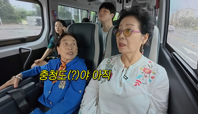"전원주 깜빡깜빡, 치매 같다"...제주 가놓고 "충청도", 걱정 산 근황